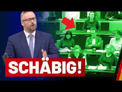 Greens tried to block the AfD motion for Ahr Valley protection! - Sebastian Münzenmaier - AfD Par...