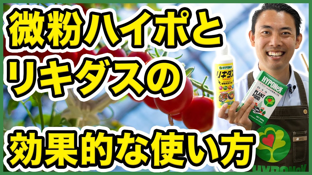 微粉化リピジルリーフレット