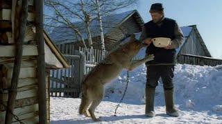 Весьегонская волчица (Приключенческая драма. 2004)