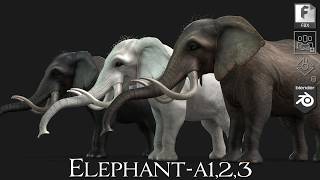 Elephant_A1,2,3