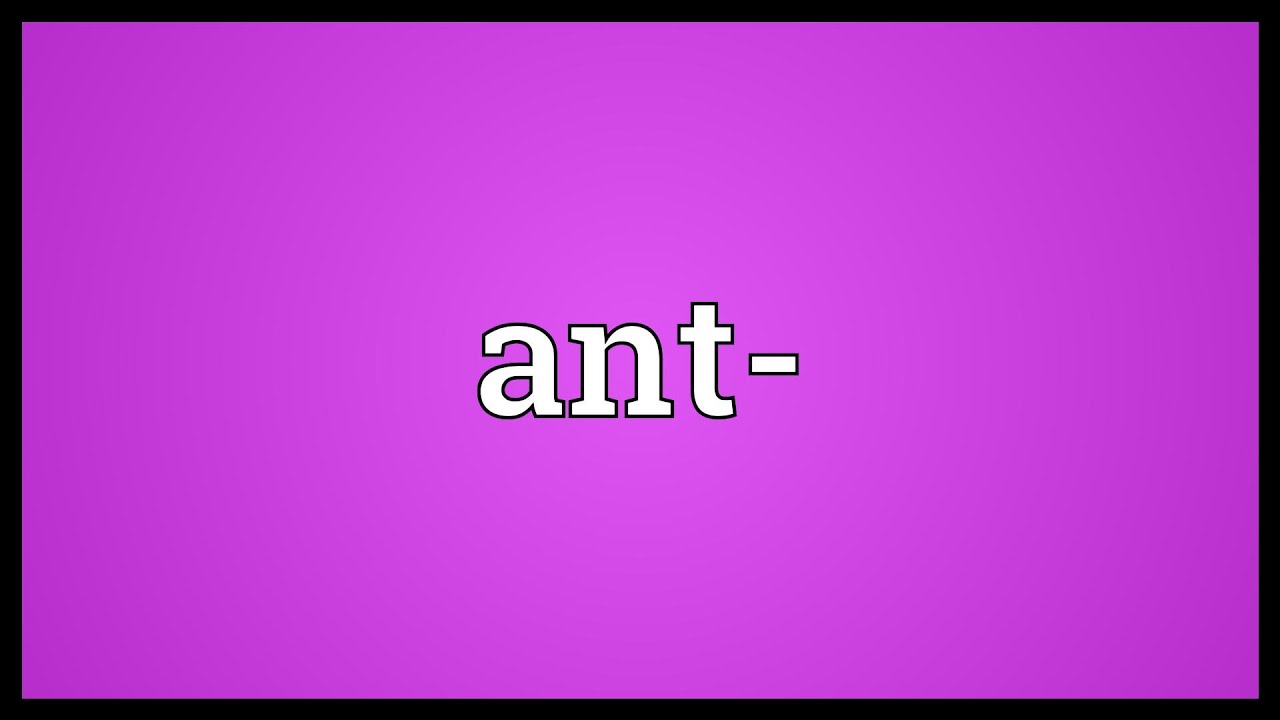 Ant Meaning YouTube Ant Meaning YouTube