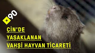 Çinde Yasaklanan Vahşi Hayvan Ticareti Ne Yiyebiliriz, Ne Yiyemeyiz?