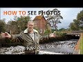 How to see photos and compositions  mike browne