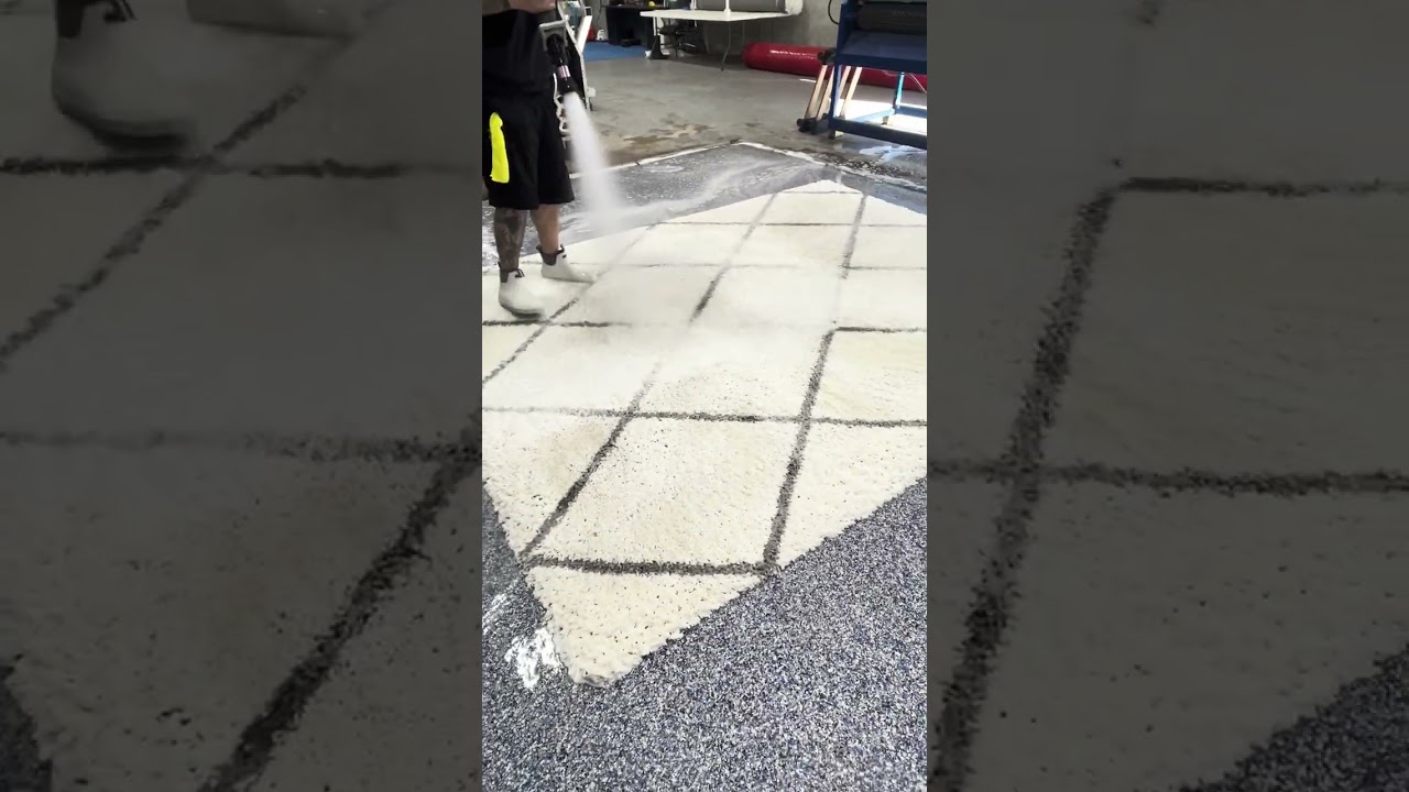 From Nasty to Like-New | Area Rug Cleaning Transformation