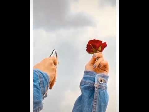 يـقـول الـبـدر الو رد ياخذ من اوصافك جمال ولا الورد لا لمح جم الك ذبل 