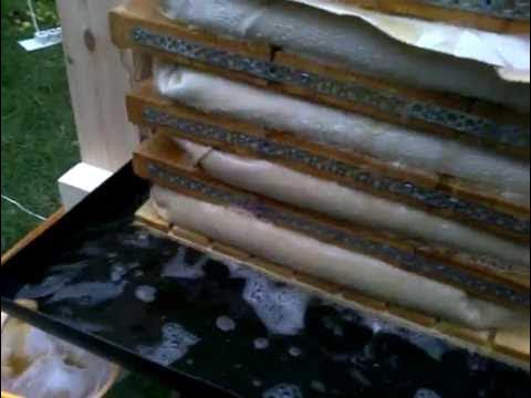 пресс для яблок - YouTube