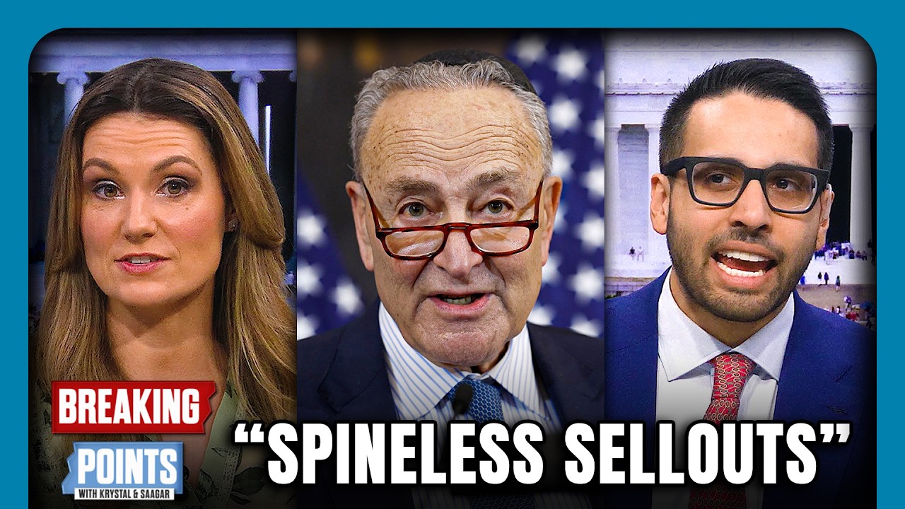 "SPINELESS SELLOUTS!" Dem Voters RAIL Against Their Own Party