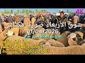 أثمنة الغنم والبقر واللحوم والخضر سوق الأربعاء صوريا مكناس اليوم 01 04 2026