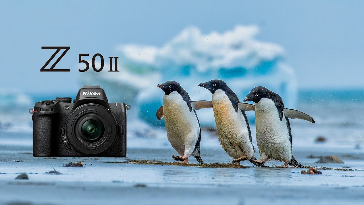 Nikon Z 50II na Antarktidě! Co mi na něm vadí, a co je naopak úplně super?