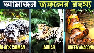 আপনি কখনো বুঝতে পারবেন না অ্যামাজন জঙ্গলের এই রহস্যগুলোর সমাধান [amazon rainforest] @IftekherAhamed