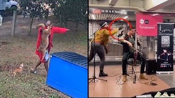 The Most Popular Stories of 2024