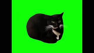 MaxChapa マクスウェルキャット アレンジ #チピチピチャパチャパ  #maxwellcat #猫ミーム #dubidubidu #猫 #猫マニ #素材 #cat #catmeme
