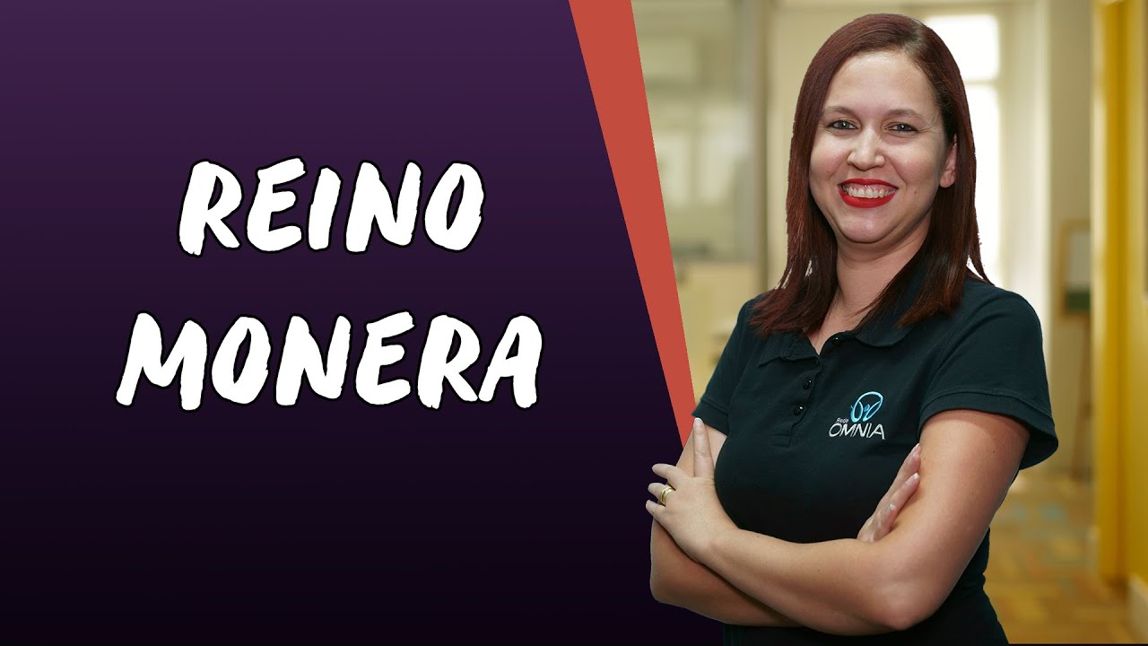 Reino Monera: características e representantes - Brasil Escola