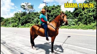 FEIRA DE CAVALO DE ABREU E LIMA-PE SÁBADO:11/04/26 #cavalo #feira #viral