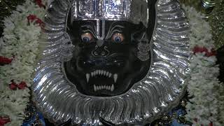 Narasimha Aarti (May 19, 2019)