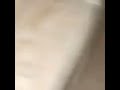 هندي يبكي بعد ما قرصت كفيله عقرب