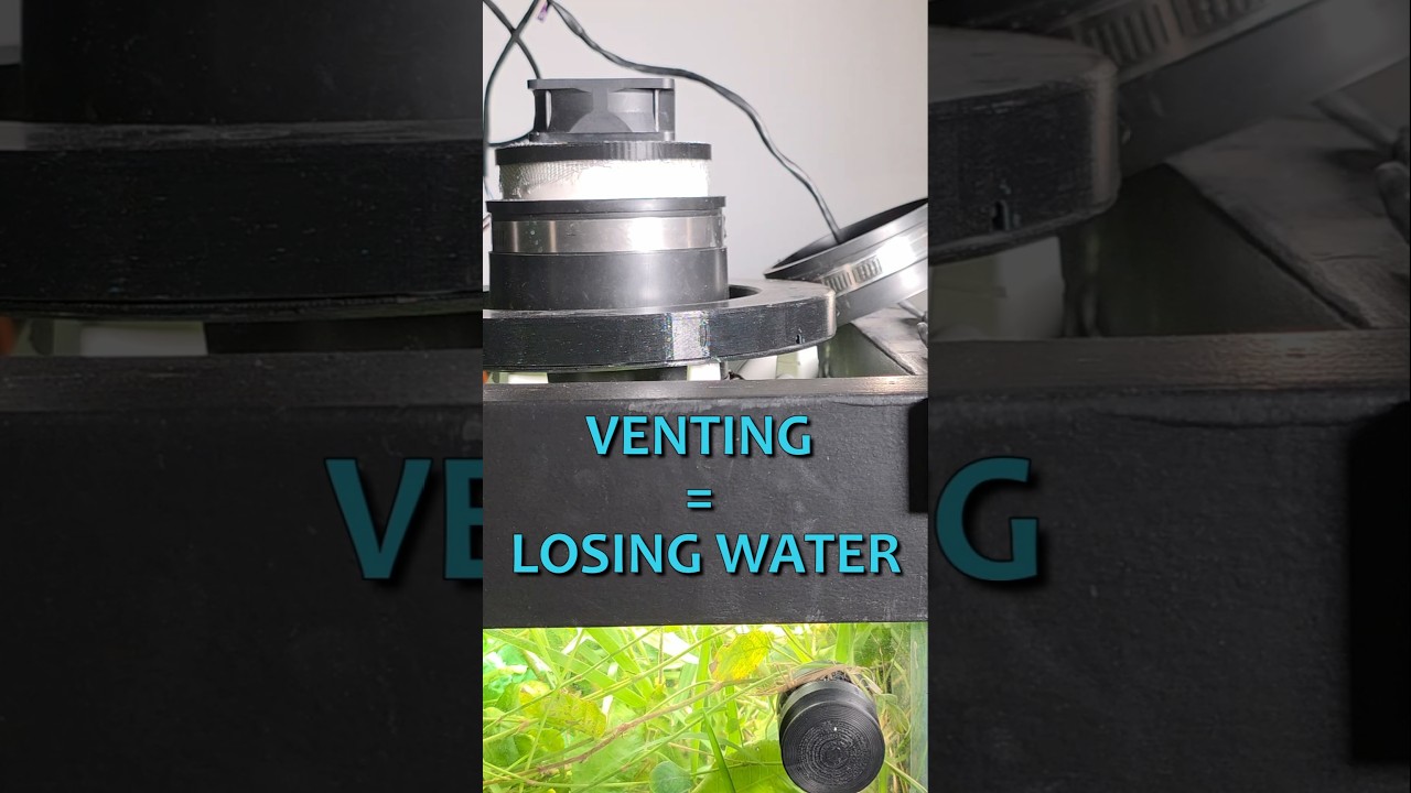 I Broke My Own Rule and Added Floating Plants Anyway