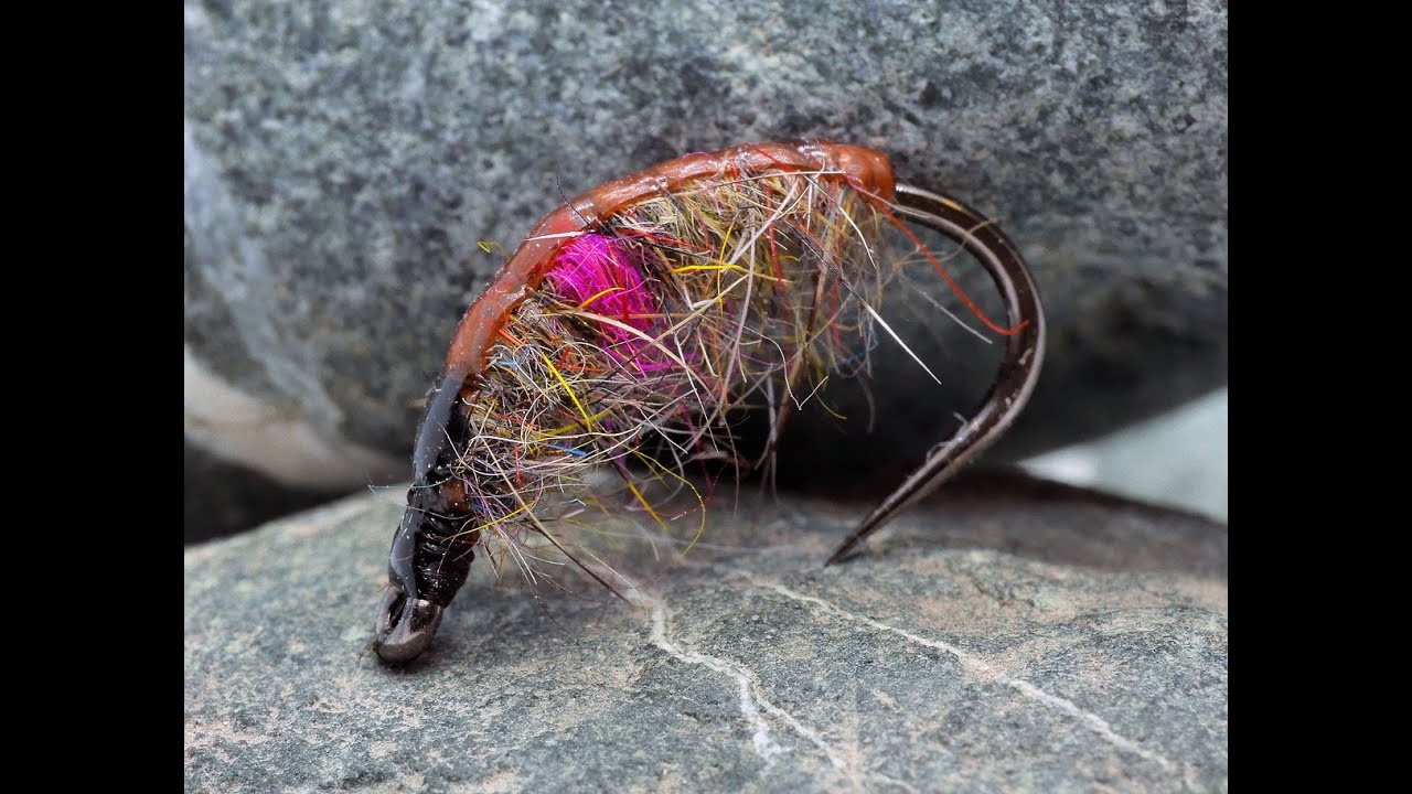 How to tie a Czech Nymph for Fly Fishing YouTube