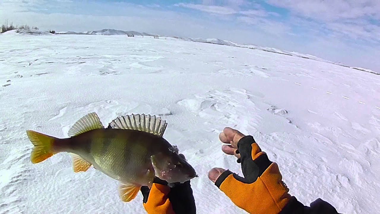 Рыбалка на оке зимой