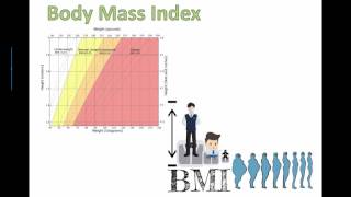 Body Mass Index (BMI) (IB Bio) (2015)