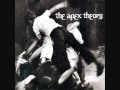 The Apex Theory - right foot -.wmv