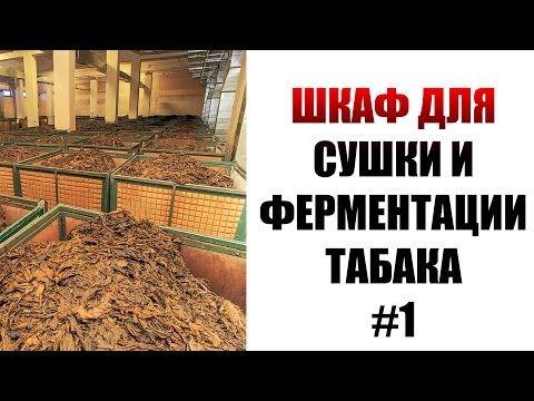 Шкаф для сушки и ферментации табака. Ферментация табака. Часть 1