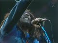Bob Marley - The Heathen