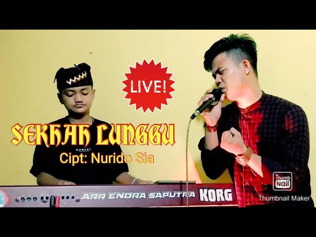 Lagu Lampung Terpopuler || SEKHAH LUNGGU Cipt: Nurido Sia || cover: @ziapaku9132 & Dj Endra class=