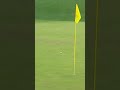 40 yard hook to win the masters  bubba watsons best shot golfbubbawatson bestgolfshots