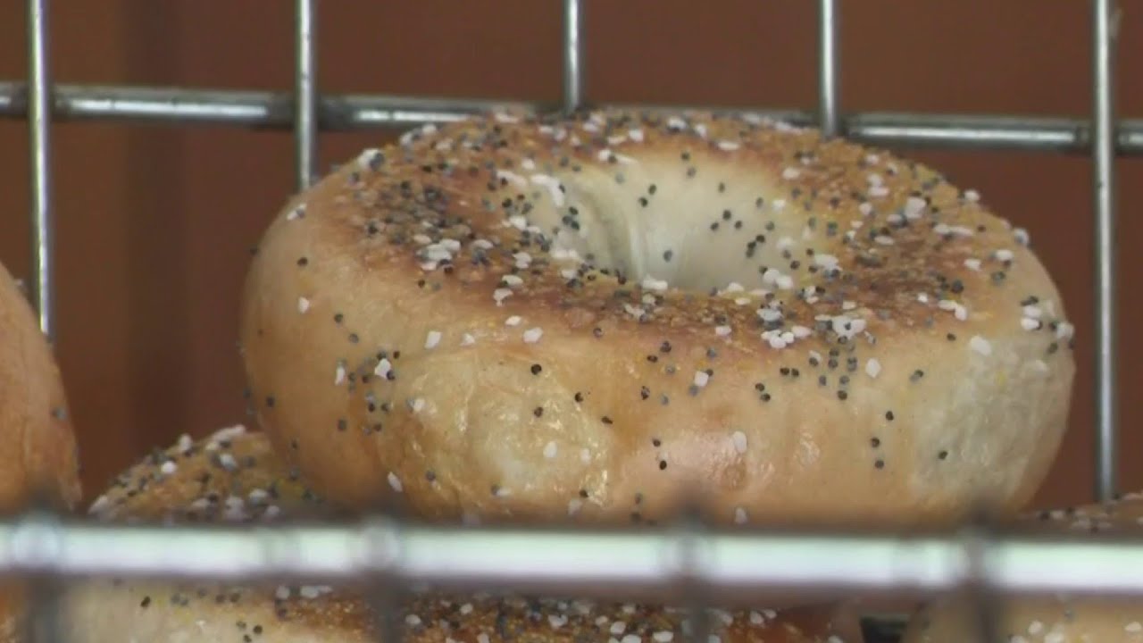 Tasty Tuesday: New York Bagel
