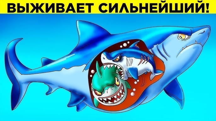 Толық әйелді үш адам былғайды