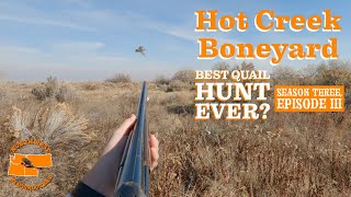 Best Quail hunt ever?  Hot Creek Boneyard  A Banner Quail Hunt