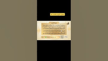 تلارة من سورة الأنبياء بصوت القارئ معاذ الشنقيطي