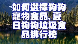 如何選擇狗狗寵物食品,夏日狗狗垃圾食品排行榜 by Pets TV 760 views 6 years ago 7 minutes, 21 seconds