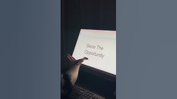 Automate Like a Pro, Even if You