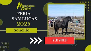 Feria de San Lucas 2025   Soncillo