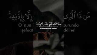 Ayetel Kürsi  Bakara Suresi 255 İslam Subhi #dilekduası #dua #dualar #dilekduası #ayet #ayetler