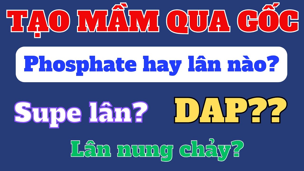 Lân tạo mầm qua gốc sử dụng loại nào hiệu quả? | Supe lân và lân nung chảy được không?