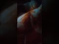 Desi Video  massage Nanny Canon EosR5 + RF85 f1.2L DS.l 18....Alan Walker K-391 x Julie. B" #funny