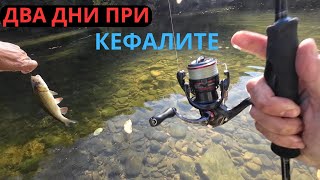 картинка: ДВА ДНИ ПРИ КЕФАЛИТЕ