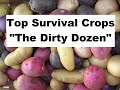 Top Survival Crops