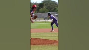 The Art of the Steal