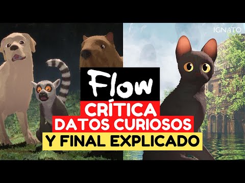FLOW: CRÍTICA, DATOS