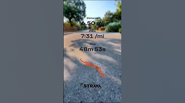 Endorphin Speed 4 🔥💨