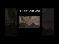 クソ笑うだろ#shorts