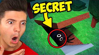 The SECRETS of 99 Nights in a Forest