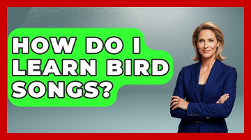 How Do I Learn Bird Songs? - Bird Watching Diaries