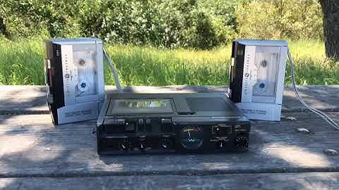 Ambient Tape Loops in Nature