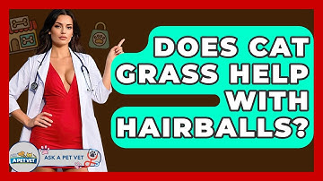 Does Cat Grass Help With Hairballs? - Ask A Pet Vet