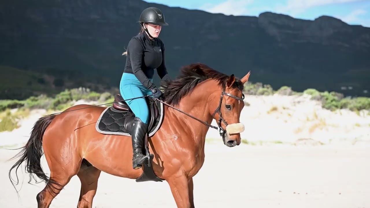 Horse and rider at the beach - shortfilm